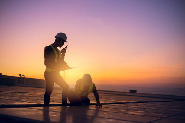 Best Flat Roof Repair Services  in Nashvle, IL