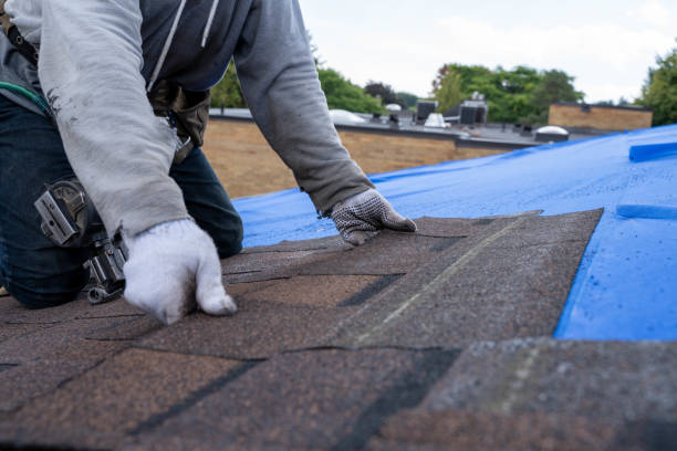 Best Commercial Roofing Services  in Nashvle, IL