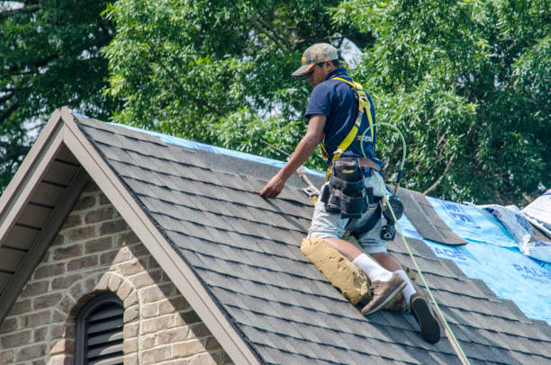 Best Roof Restoration Services  in Nashvle, IL