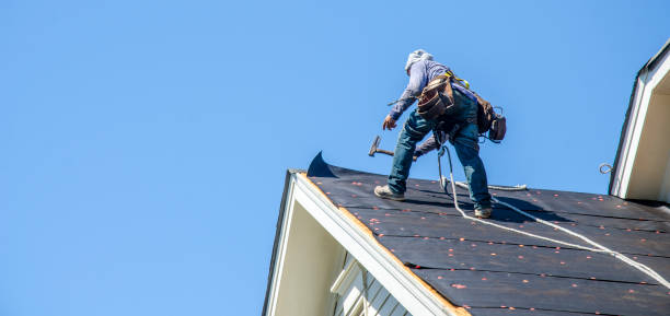 Best Commercial Roofing Services  in Nashvle, IL